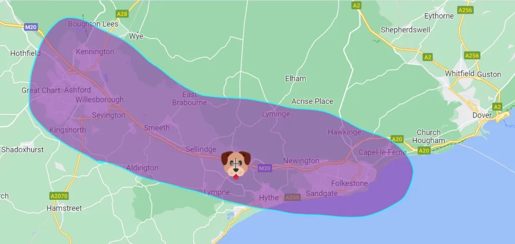 Cheap Animal Health Certificates Folkestone near Dover