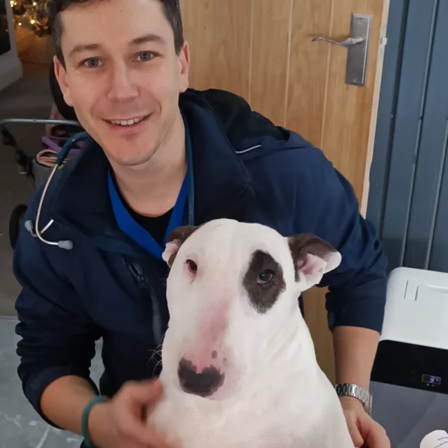 cheapest Animal healtyh certifciates online liverpool