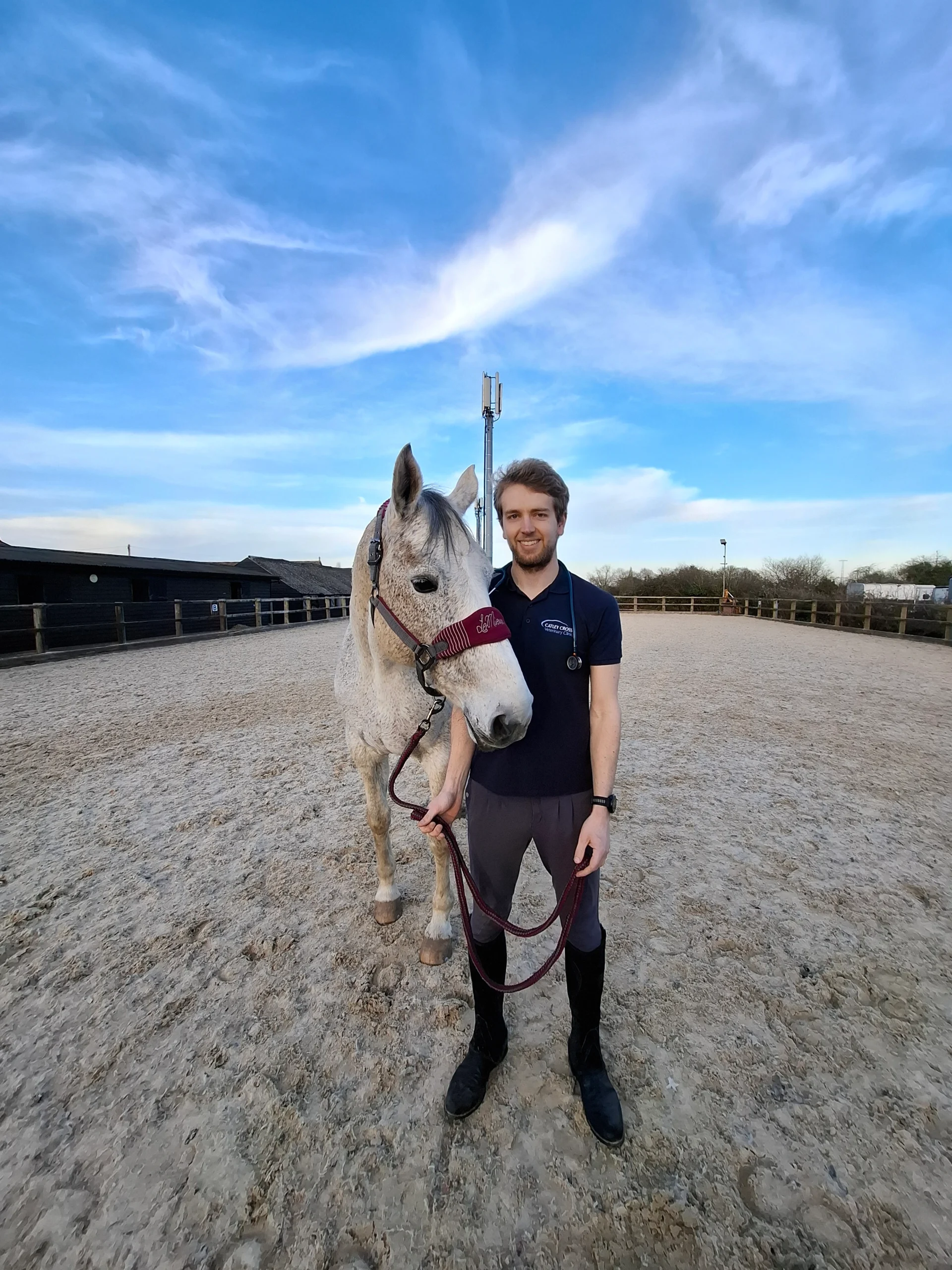 Colchester, Chelmsford, Ipswich, Billericay in Essex - Cheap Animal health certificates