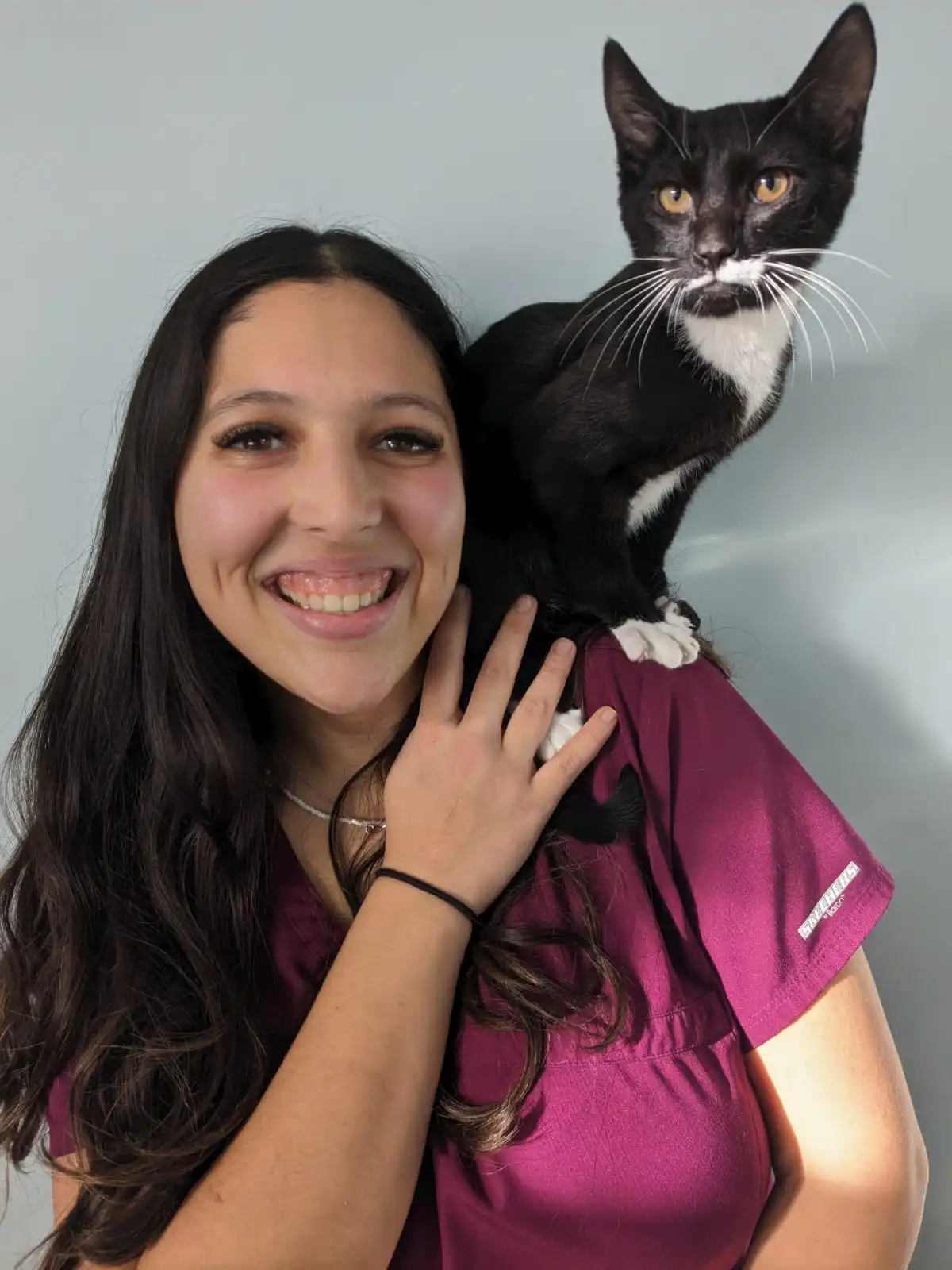 wood green - tottenham - walthamstow - edmonton - north finchley - enfield - north London - vet home certs - animal health certificate Emate Ismail