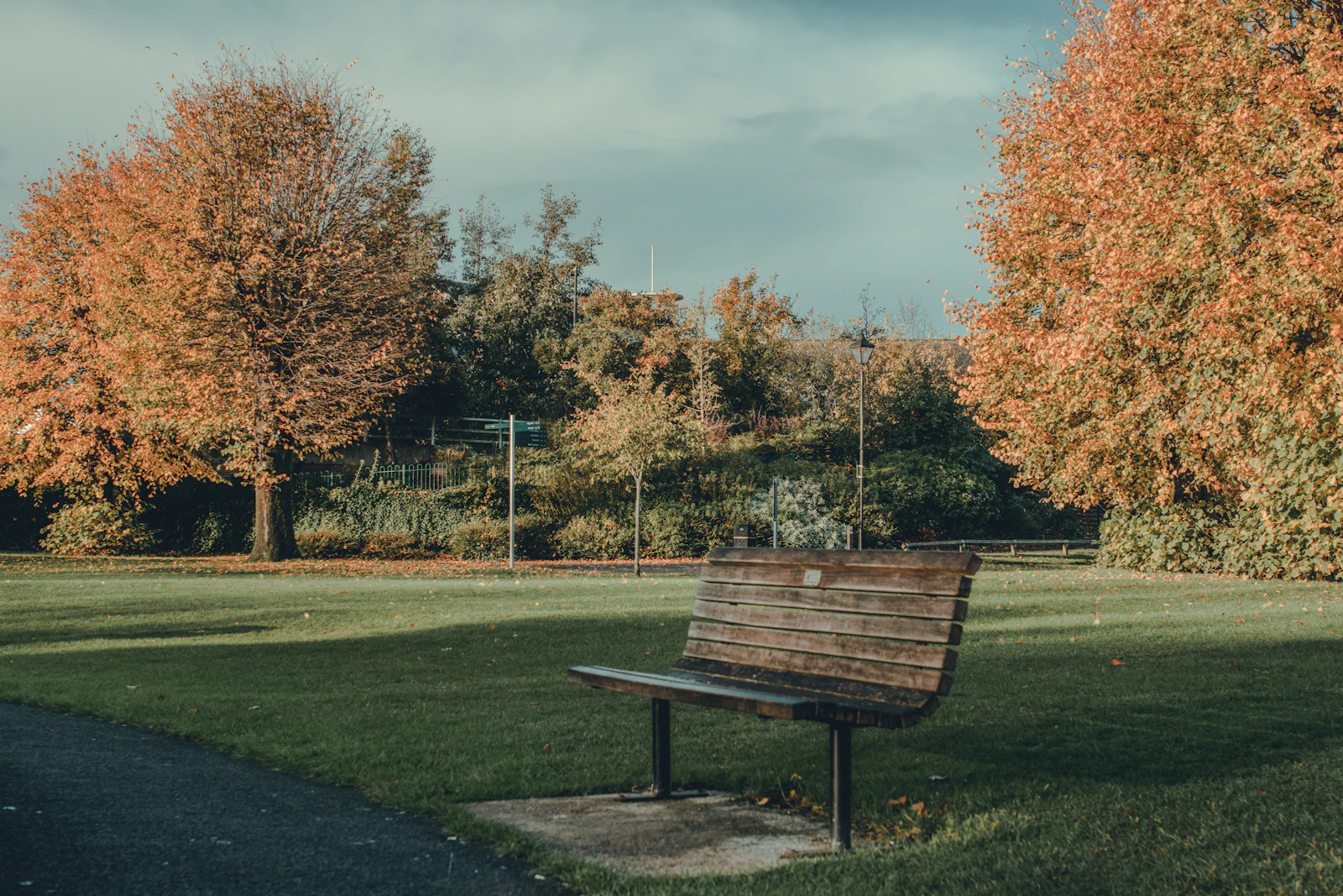 Autumn trees and a park bench in Newbury, West Berkshire.